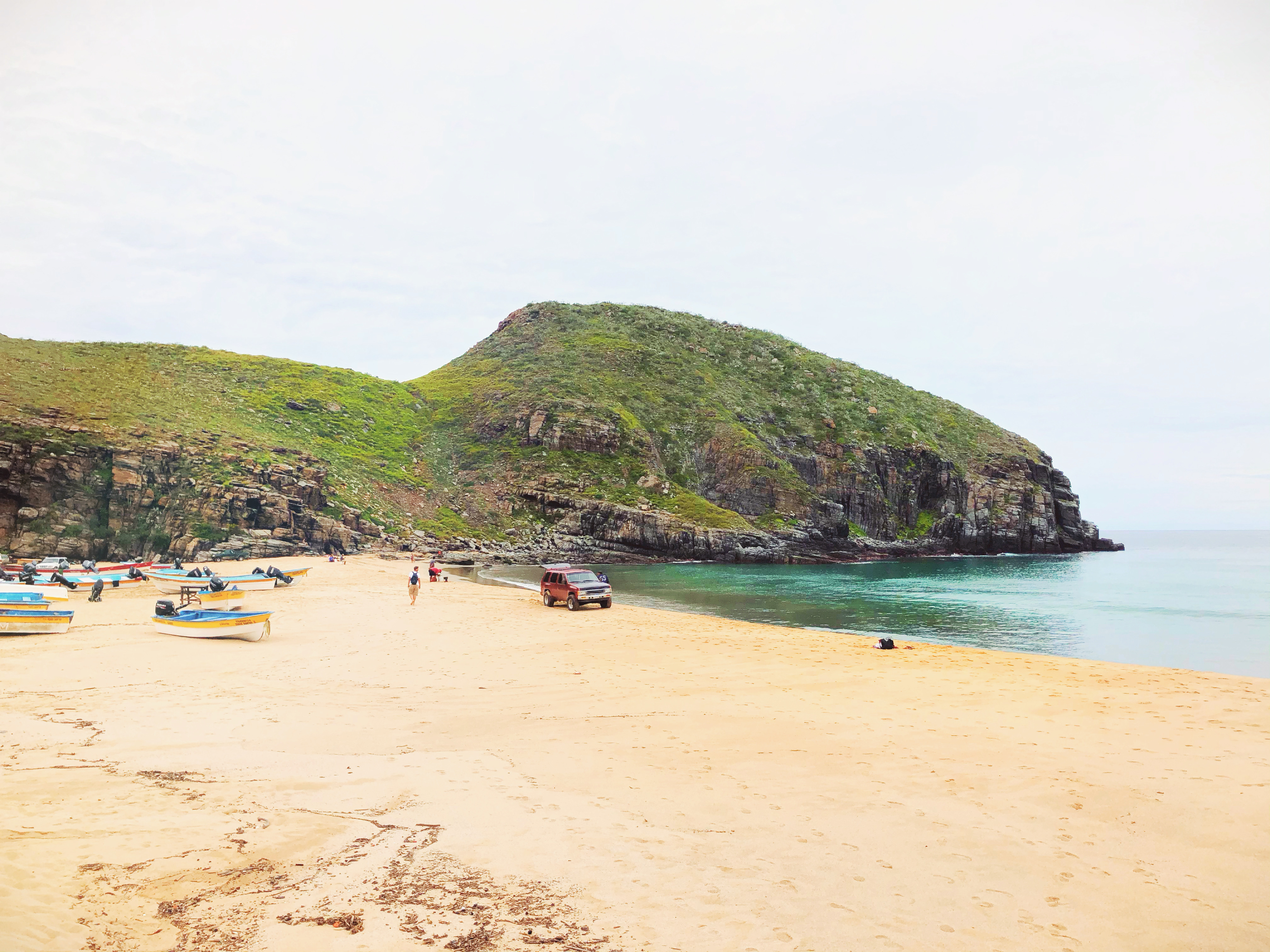 F7A52556-1F2C-4B78-AC1B-D48F17588AFC